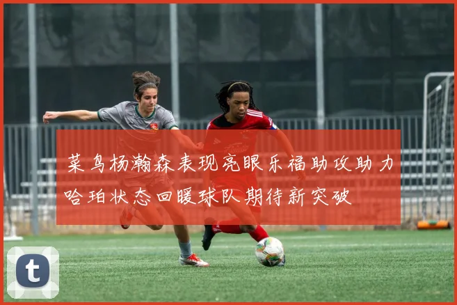 菜鸟杨瀚森表现亮眼乐福助攻助力哈珀状态回暖球队期待新突破