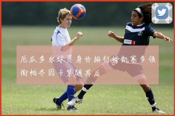 厄瓜多尔球员身价排行榜凯塞多领衔帕乔因卡紧随其后